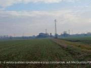 R.G.E. 381/2023 Verona