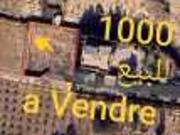 ارض للبيع مساحتها 1000 متر مربع تتر
