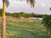 R Zone Green Zone Land S 1 Acre Plot in Isapur Delhi...