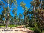 Rabbit Pen Dr, Appling, Plot For Sale