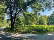 Rachel Rd Lot,memphis, Plot For Sale