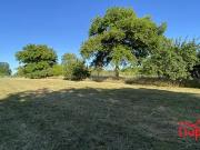 Radonvilliers 10500 Achat / Vente terrain