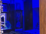 Rahul Mishra 2 Bedroom 900 Sq. Ft. Builder Floor in...