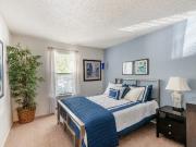 Raintree Apartments 1 Bedroom Apartment for Rent at 175...