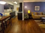 Raintree Apartments 1 Bedroom Apartment for Rent at 175...