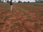 Raja Ira 1500 Sq.Ft. Plot in Rajanukunte Bangalore...