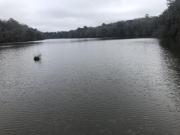 Rakestraw Dr, Tallahassee, Plot For Sale