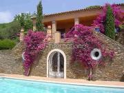 Ramatuelle 83350 Achat / Vente maison