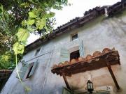 Rancani Veneto 37039 96330055