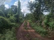 RANCHO 12 HECTÁREAS CERCA DE MÉRIDA YUCATÁN CON ENERGÍA...