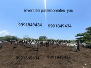 Rancho a Pie de Carretera de 472 HAS a solo 35 Km de...