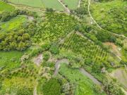 Rancho cerca de la Hacienda de San Gabriel de las Palmas