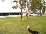 Rancho en venta en El Calvario, Cancún, Hidalgo