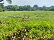 Rancho con vocacion ganadera, agricola y forestal en...