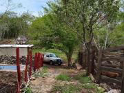 RANCHO DE 36 HECTÁREAS CERCA DE TIZIMÍN ZONA GANADERA