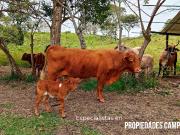 Rancho de 38 HA al Mejor Precio