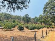 Rancho en venta en Mazamitla, Jalisco