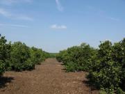 Rancho en El Barranquito, Cadereyta Jiménez, Nuevo León