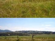 Rancho en Amealco Casa con Alberca, Lagos, Zona de...