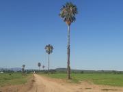 Rancho en Los Planes, B.C.S