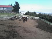 Rancho en San Miguel Ajusco, Tlalpan