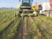 Rancho en venta en Huichapan Centro, Huichapan, Hidalgo