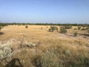 Rancho en venta
