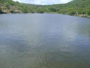 RANCHO EN VENTA 643HAS, PRESA, 2 MANANTIALES,...