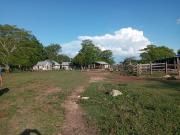 RANCHO EN VENTA, 920 HAS, CARR. ESCÁRCEGA VILLAHERMOSA