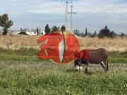 Rancho en VENTA Ciudad de los Ninos