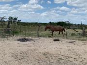 Rancho en venta en Monclova, Coahuila