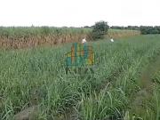 RANCHO EN VENTA CON FRENTE DR RIO DE 100 HAS