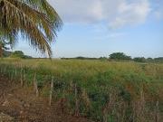 RANCHO EN VENTA EL ESFUERZO CHAMPOTON
