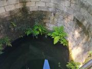 Rancho en venta en berriozabal, chiapas