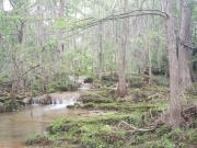 Rancho en venta en Brasil, Cancún, Nuevo León