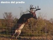 RANCHO EN VENTA EN CHINA, NUEVO LEON, TIERRAS MUY...