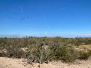 Rancho en venta en Coahuila cinegético y ganadero...