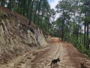 Rancho en venta en, Coatepec Harinas, Estado de México