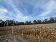 Rancho en Venta en El Salitre Jalisco