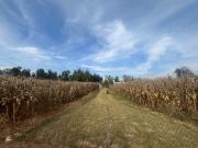Rancho en Venta en El Salitre Jalisco