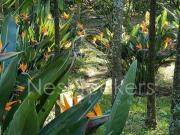 Rancho en Venta, en el Valle de Tilostoc