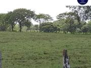 Rancho en venta en Federal, Tierra Blanca, Veracruz