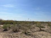 Rancho en venta en Huertas Estación, Montemorelos, Nuevo...