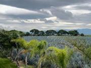Rancho en venta en ixtlahuacan de los membrillos Rancho en venta en ixtlahuacan de los membrillos
