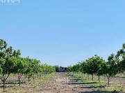 Rancho en Venta en Ramos Arizpe, Coahuila