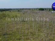 Rancho en Venta en Reforma, Chiapas 26 Hectáreas con...