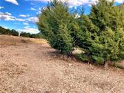 Rancho en venta en San Antonio de las Alazanas, Arteaga,...