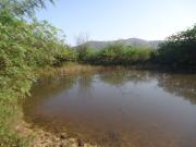 Rancho en venta en Santa Cruz, Cancún, Chiapas