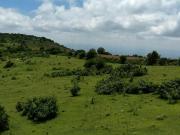 RANCHO EN VENTA EN SANTA ROSA JAUREGUI, QUERETARO