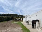 Rancho en venta en Santo Tomas Ajusco, Tlalpan, Ciudad...